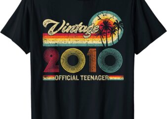 Vintage 2010 Official Teenager 13th Birthday for Teen Boys T-Shirt