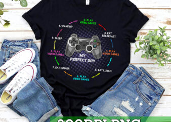 RD My Perfect Day Video Games Funny Cool Gamer T-Shirt