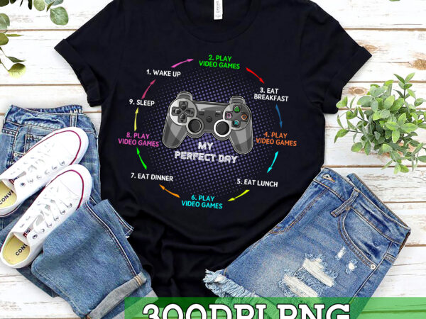 Rd my perfect day video games funny cool gamer t-shirt