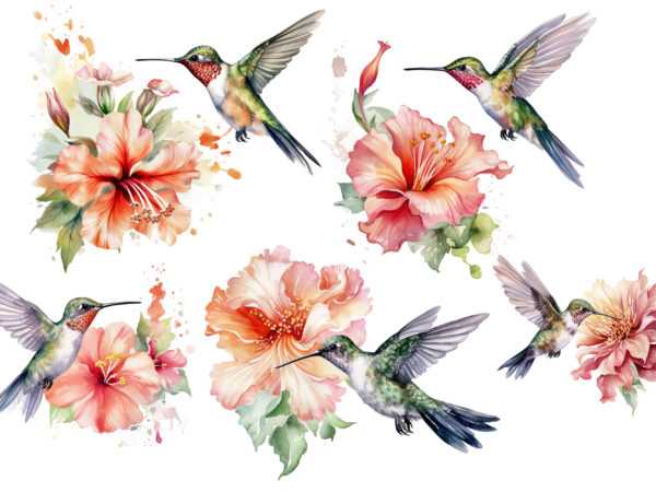 Hummingbird flower watercolor clipart graphic t shirt