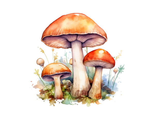 Watercolor mushrooms, sublimation clipart, mushrooms sublimation, sublimation design, digital download, watercolor clipart, art illustration, instant download, digital sublimation, printable, print on demand, bundle clipart, watercolor clipart, sublimation, watercolor toadstool, black