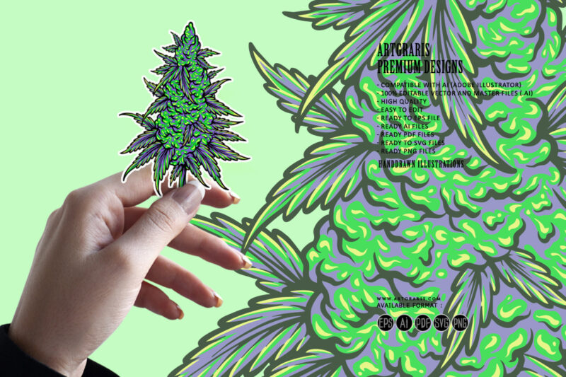 Cannabis sativa bud medicinal hemp plant illustrations