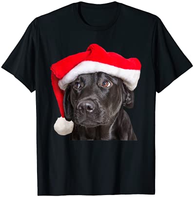 15 Labrador Shirt Designs Bundle For Commercial Use Part 4, Labrador T-shirt, Labrador png file, Labrador digital file, Labrador gift, Labrador download, Labrador design