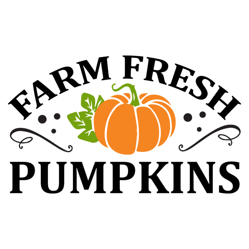 Farm fresh pumpkins tshirt design