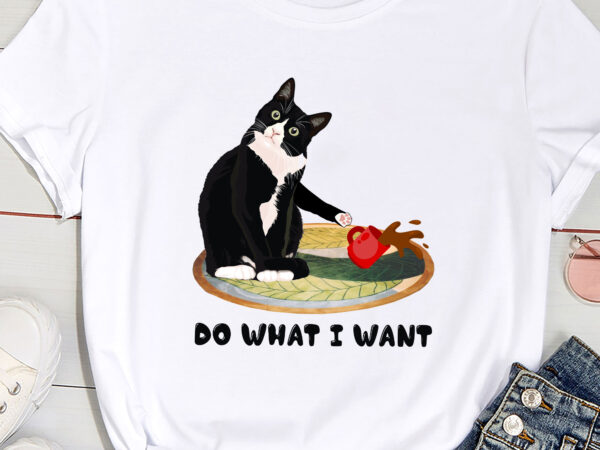 Funny black cat i do what i want cat lover gifts pc t shirt graphic design