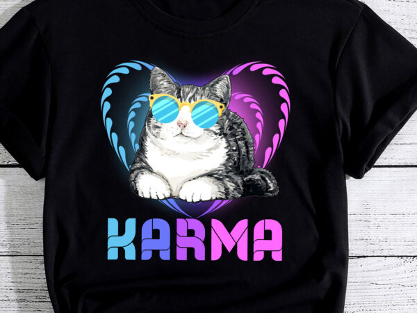 Karma is a cat karma is my boyfriend cruel summer cat lover pc t shirt vector art