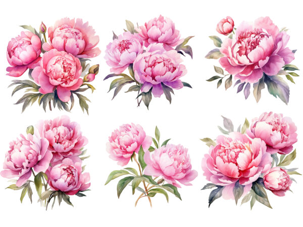 Watercolor soft pink peonies clipart t shirt design for sale