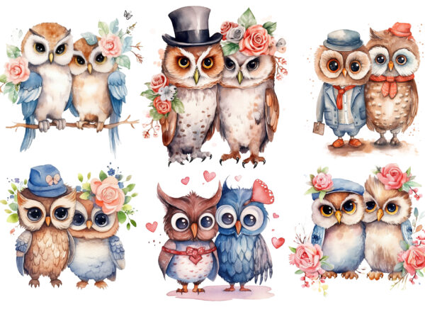 Cute couple owl with flower watercolor clipart t shirt vector file