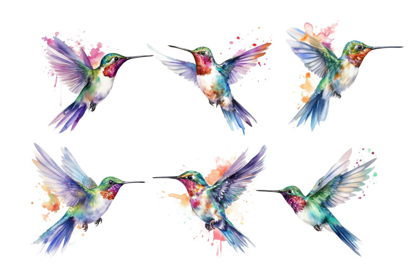 Fairy Hummingbird Watercolor Clipart