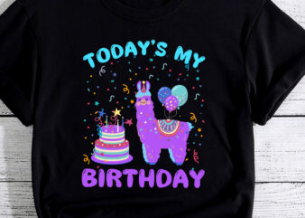 Todays My Birthday Llama Birthday Party Decorations Boys PC t shirt designs for sale
