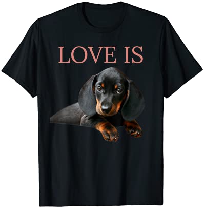 15 Dachshund Shirt Designs Bundle For Commercial Use Part 5, Dachshund T-shirt, Dachshund png file, Dachshund digital file, Dachshund gift, Dachshund download, Dachshund design