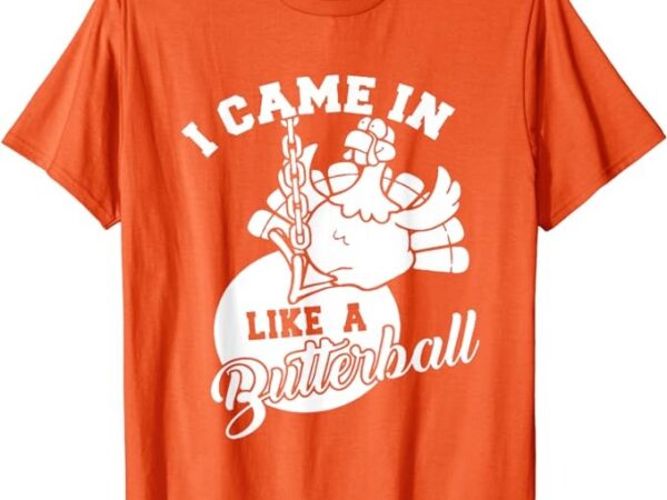 Cute i came in like a butterball thanksgiving turkey costume t-shirt