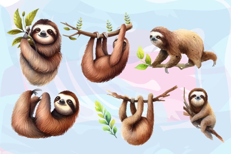 Sloth Animals Watercolor PNG Clipart