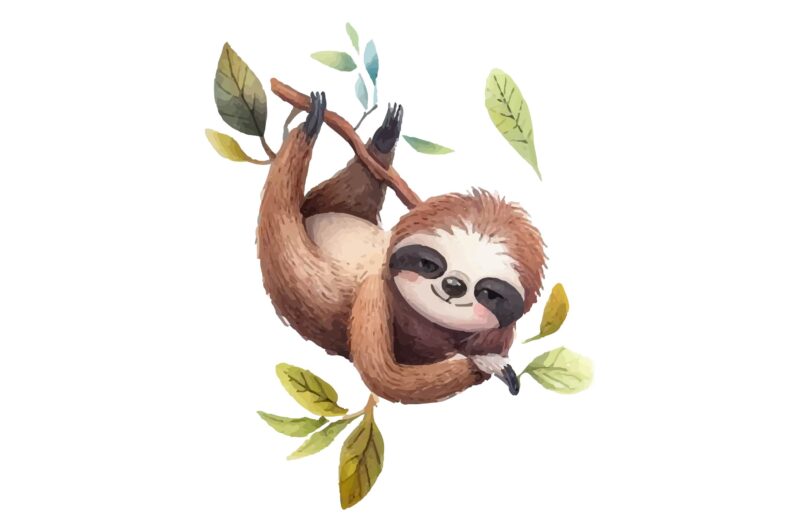 Sloth Animals Watercolor PNG Clipart