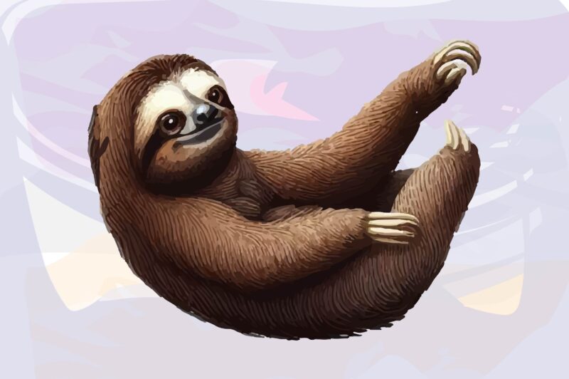 Sloth Animals Watercolor PNG Clipart