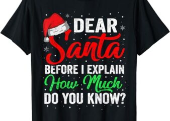 Dear Santa I Can Explain Funny Christmas Shirts Kids Adults T-Shirt