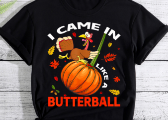 I Came In Like A Butterball Thanksgiving Turkey Costume T-Shirt