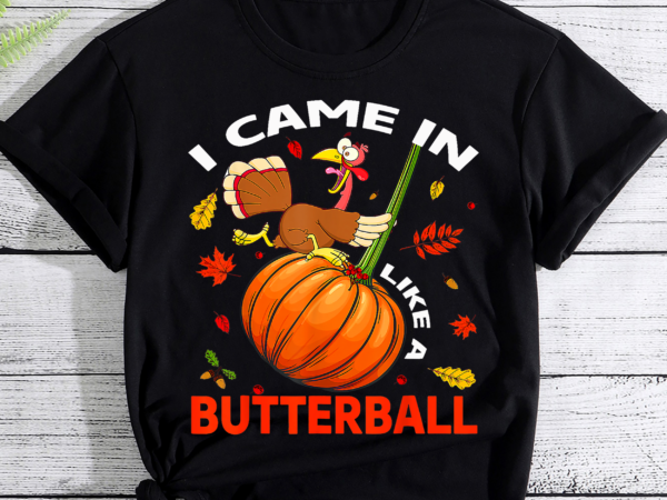 I came in like a butterball thanksgiving turkey costume t-shirt