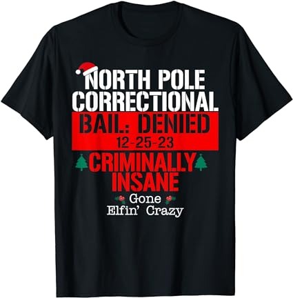 North pole correctional bail denied criminally insane gone t-shirt