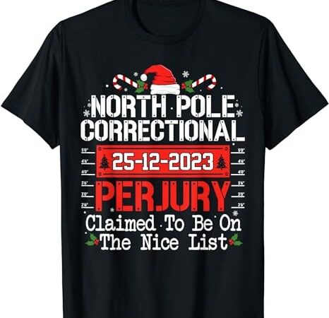 North pole correctional perjury matching family christmas t-shirt