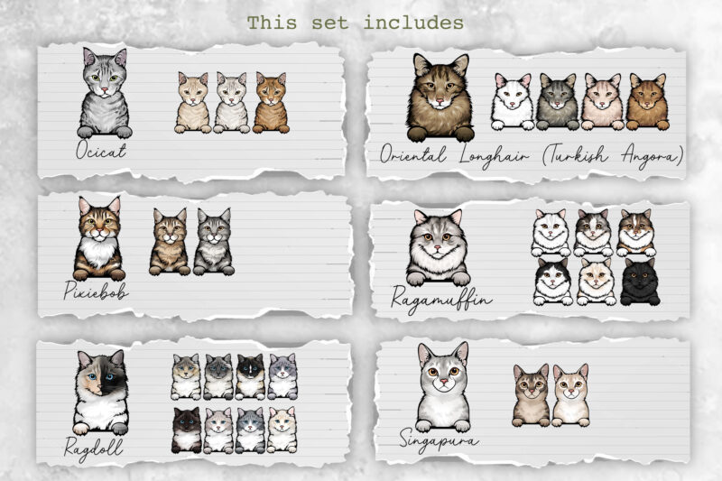 Peeking Cats, 27 Breeds & 131 Elements, Color Set 2