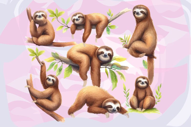 Sloth Animals Watercolor PNG Clipart