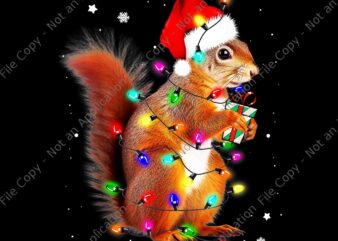 Squirrel Christmas Hat Santa PNG, Squirrels Lover Xmas PNG, Squirrel Light Xmas PNG