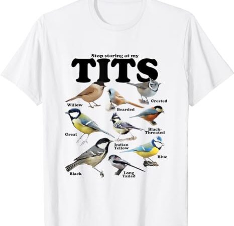 Stop staring at my tits funny t-shirt