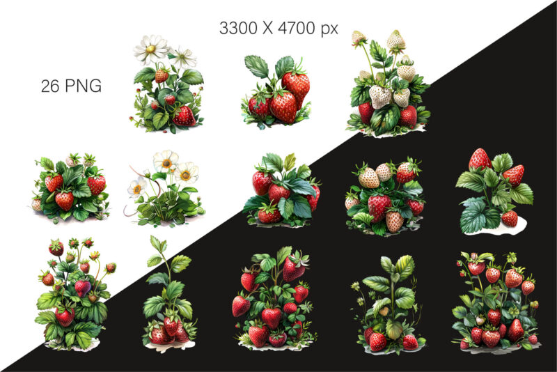 Strawberry clipart PNG.