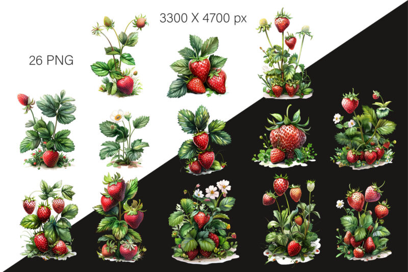 Strawberry clipart PNG.