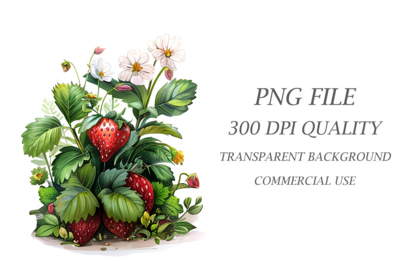 Strawberry clipart PNG.