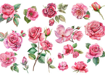 Light Pink Rose Watercolor Art