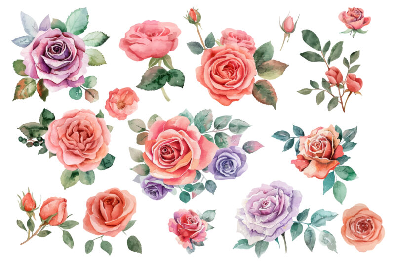 hand painting watercolor roses flowers