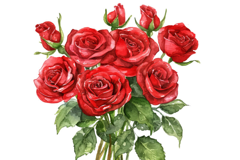 Watercolor red Rose, Roseful red Clipart