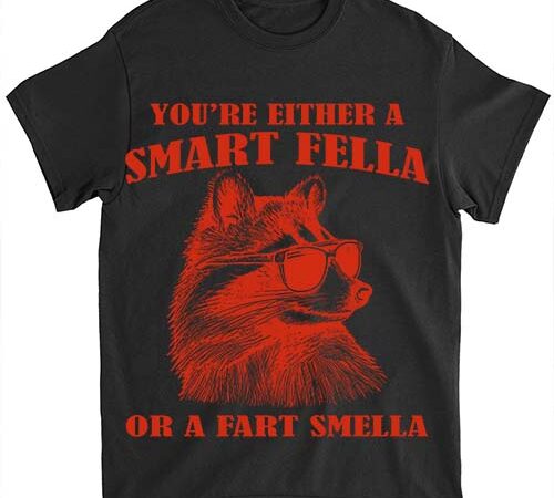 Are you a smart fella or fart smella retro cartoon t shirt, meme t shirt, raccoon t shirt ltsp