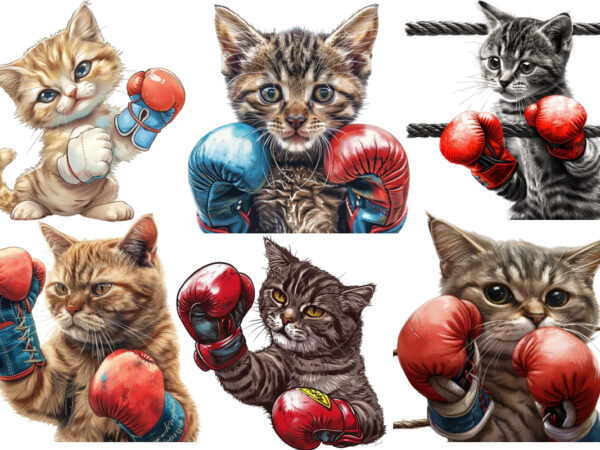 Boxing cat sublimation clipart, cat clipart, cat sublimation, boxing cat, kitten, cat lover, animal, instant download, cat illustrations, di t shirt template