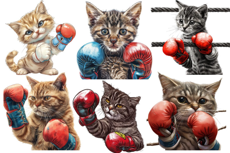 Boxing Cat Sublimation Clipart, Cat Clipart, Cat Sublimation, Boxing Cat, Kitten, Cat Lover, Animal, Instant Download, Cat Illustrations, Di