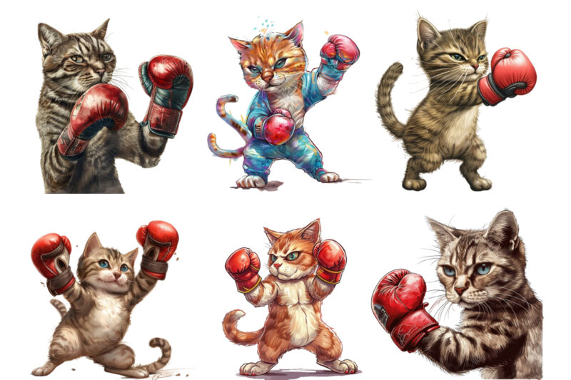 Boxing Cat Sublimation Clipart,cat Showcasing Brave Kitt faeec,Cats Clip Art, digital PNG files available for instant download,