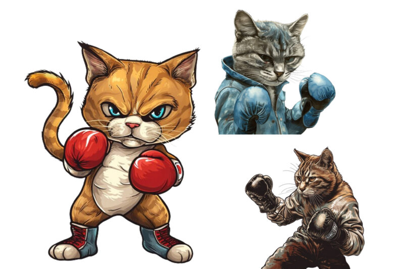 Boxing Cat Sublimation Clipart,cat clipart,cat sublimation,boxing cat,kitten,cat lover,animal,instant download,cat illustrations,digital,sub