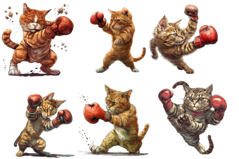 Dynamic Boxing Cat Sublimation