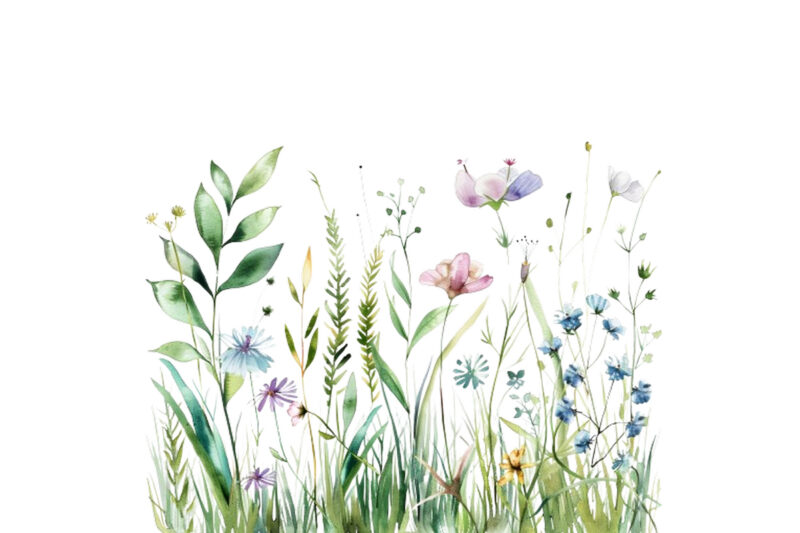 Watercolor Spring Grass with Flower