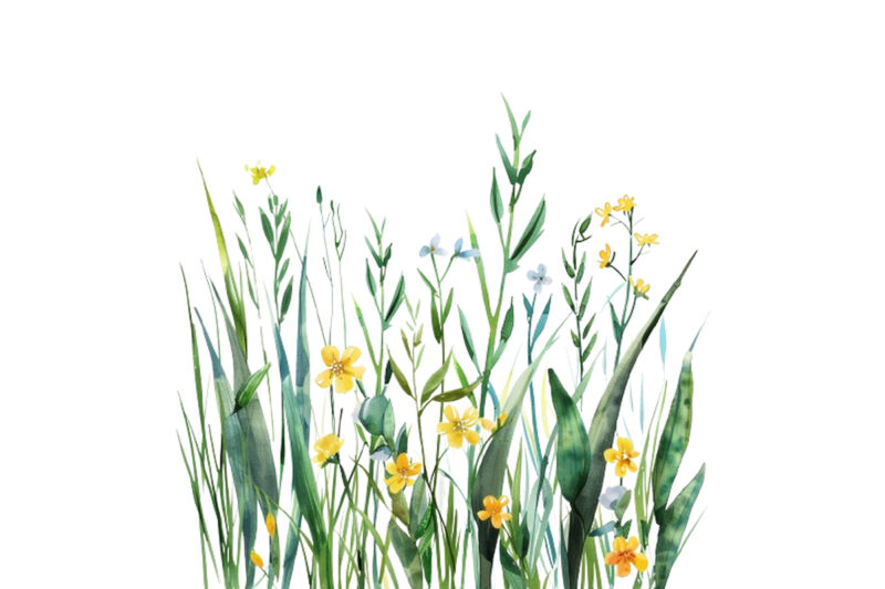 Watercolor Spring Grass with Flower