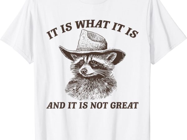 Funny raccoon shirt it is what it is and it is not great t-shirt