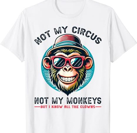 Not my circus not my monkeys but i know all the clowns men t-shirt