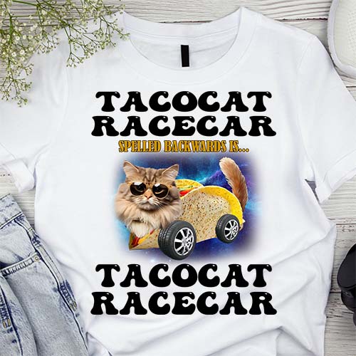 Tacocat Racecar Spelled Backwards Funny Mexican Car Taco Cat T-Shirt LTSP