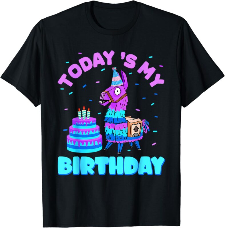 Todays My Birthday Llama Birthday Party Decorations Boys Kid T-Shirt