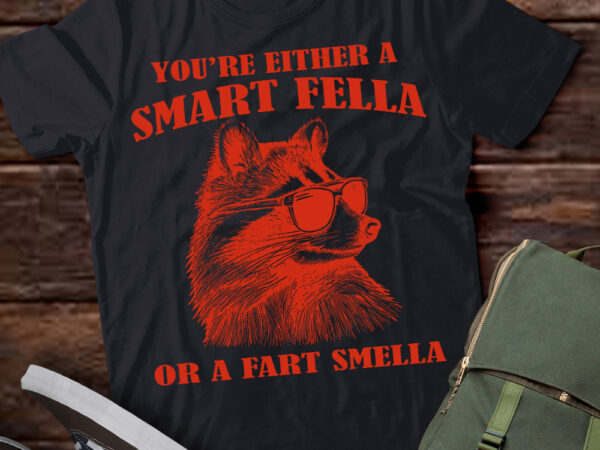 Are you a smart fella or fart smella retro cartoon t shirt, meme t shirt, raccoon t shirt ltsp