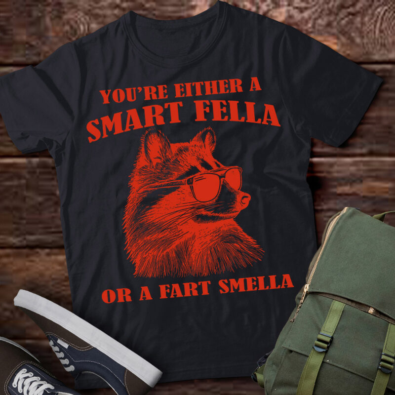 Are You A Smart Fella Or Fart Smella Retro Cartoon T Shirt, Meme T Shirt, Raccoon T Shirt LTSP