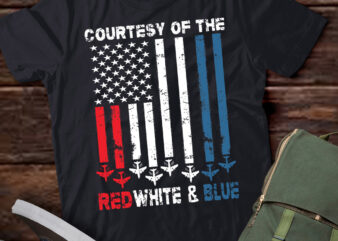 Courtesy Of The Red White And Blue Vintage America US Flag T-Shirt ltsp