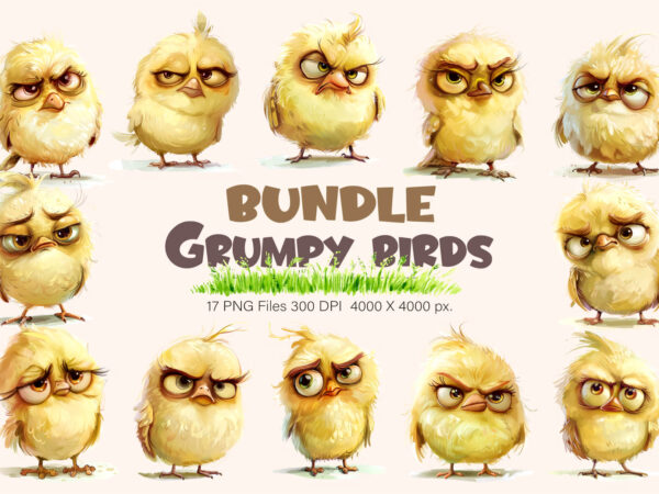 Grumpy cute birds 01. tshirt sticker.